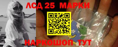 гидропоника Коммунар