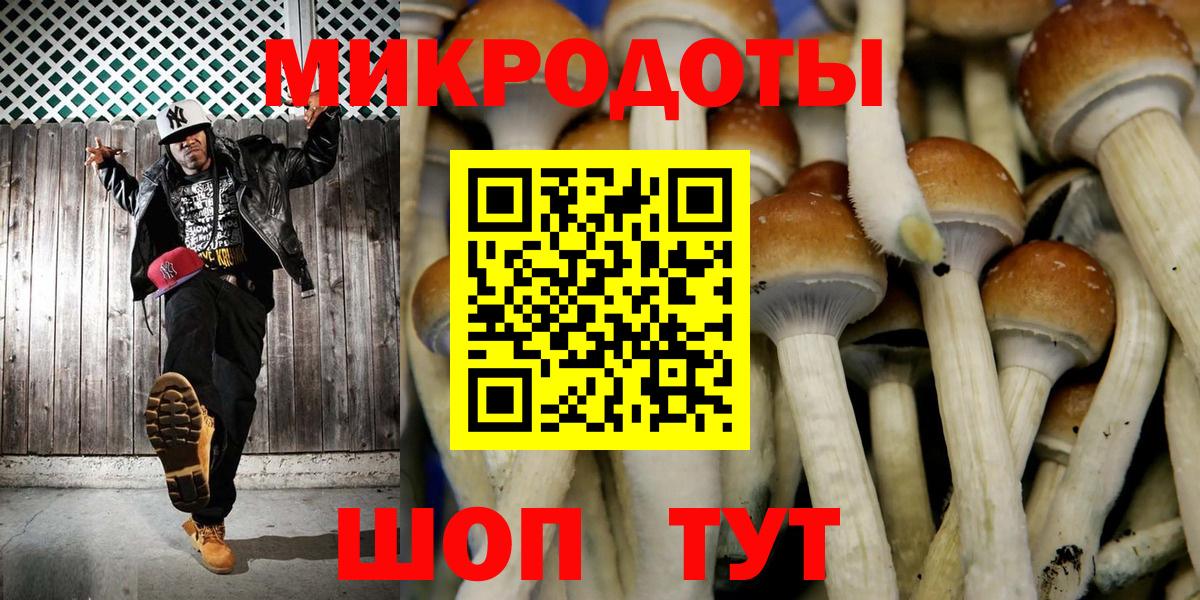 Псилоцибиновые грибы Psilocybine cubensis  Вход с VPN  Южно-Сахалинск 
